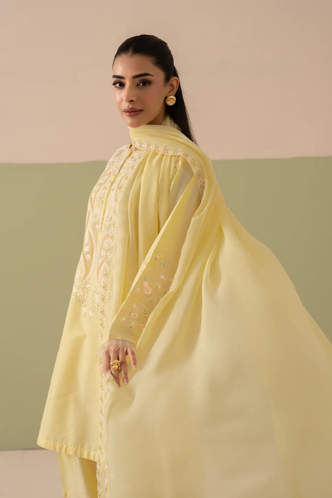 Safina (Embroidery 3.PCs with Farshee Shalwar)